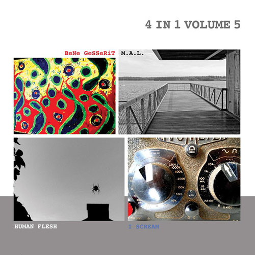 V/A 4 in 1 Volume 5 LP+CD